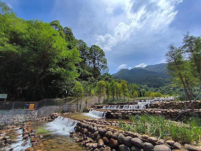 李玟墓地杂草清理记